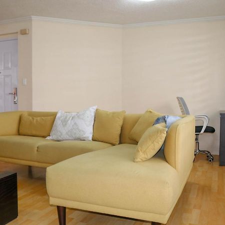 Vanilla Suite - Great Location - Financial Zone キト エクステリア 写真